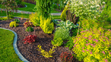 Landscaping Design & Installation